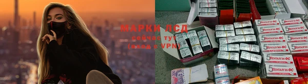 ешки Кукмор