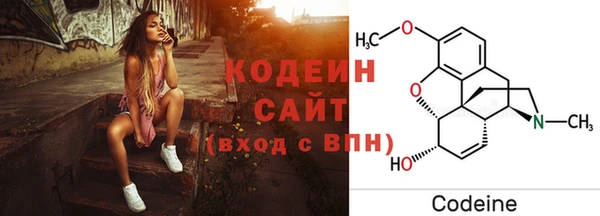 индика Куйбышев