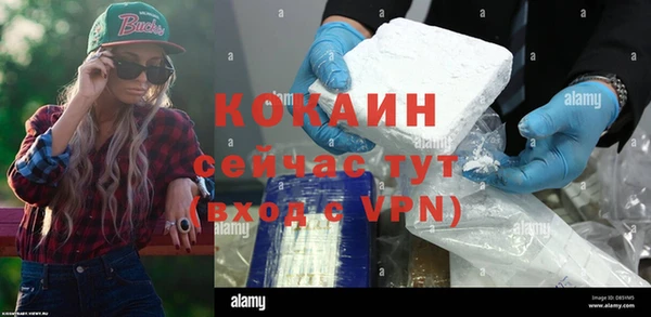 индика Куйбышев