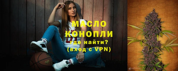 индика Куйбышев