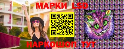 дмт Кандалакша