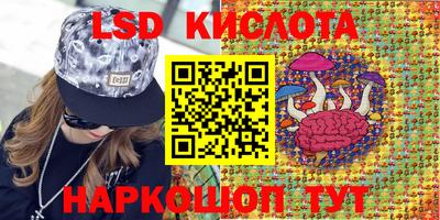 дмт Кандалакша