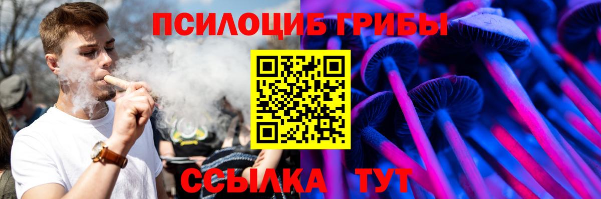 Псилоцибиновые грибы Magic Shrooms  Вход с VPN  Междуреченск  Псилоцибиновые грибы Psilocybe 